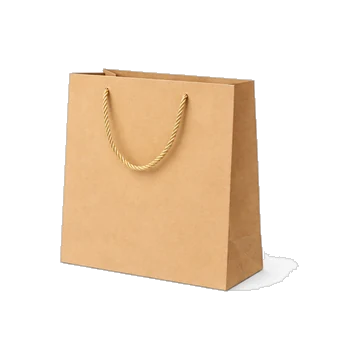 Carton Gift Bag (Small)