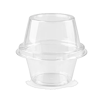 Clear Plastic Cupcake Box