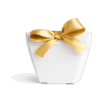 Small Gift Box With Ribbon